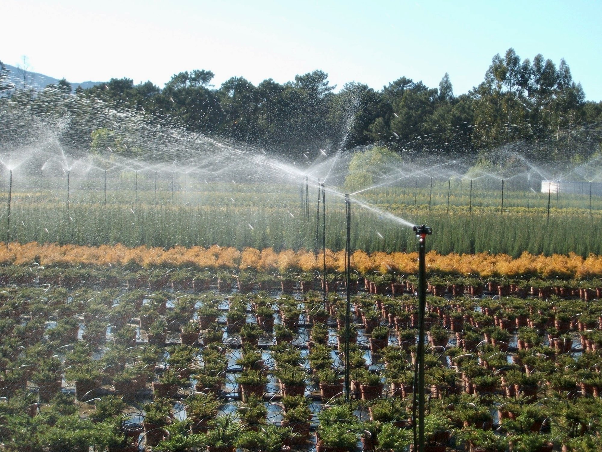 Sistema de irrigação por aspersão
